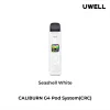 seashell-white seashell-white